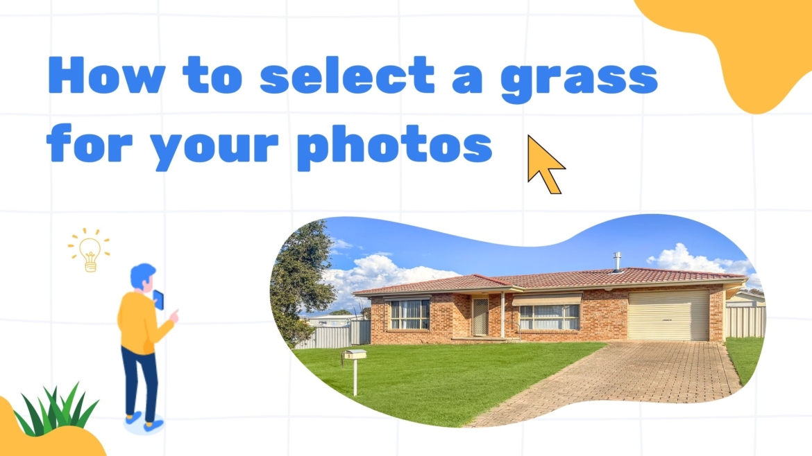 How to Choose the Best Grass for Real Estate Photo Replacement